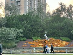 -中山公园
