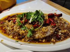 -杨氏青龙虾·羊蝎子(托乐嘉店)