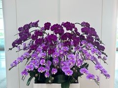 -福州长乐国际机场