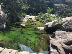 -无染寺