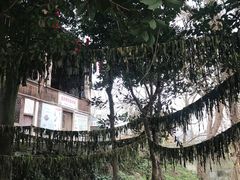 -恩阳古镇