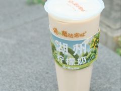 -猫的魔法密林(衣裳街店)