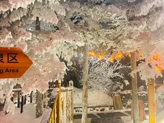 -汉拿山温泉度假酒店
