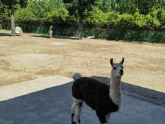 -齐齐哈尔龙沙动植物园