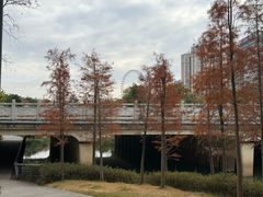 -牛岗山公园