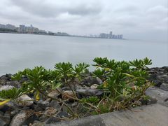 -万绿园