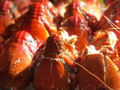 -哈曼度假酒店哈宝家庭餐厅(大东海店)