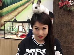 -藦茜花园宠物主题亲子互动体验馆(国顺东路店)