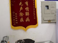 -香河县乐康动物诊所