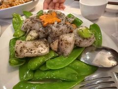 -食为先(Shark Fin)