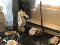 -乐尚音乐空间·钢琴·声乐·架子鼓(会展中心店)