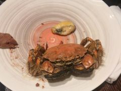 -上海三甲港铂瑞酒店-卓越西餐厅