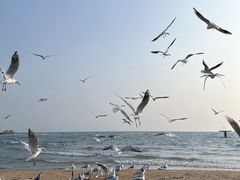 -老虎石海上公园