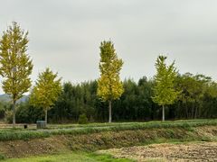 -良渚古城遗址公园