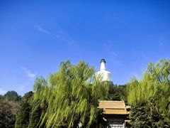 -峨嵋酒家(德内店)