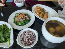 -臻康乃馨月子中心(凯宾斯基店)