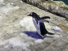 -成都浩海立方海洋公园