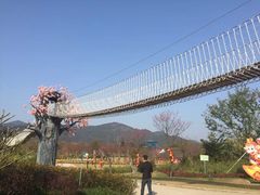 -天适樱花悠乐园