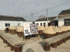 -苏州市吴中区光福窑上花果蜜饯厂