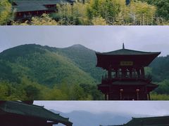 -大唐贡茶院