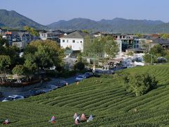 -龙坞茶村
