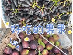 -九溪蒋记菌子宴