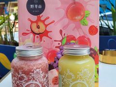 -野萃山·潮汕厚果汁(十亩地店)