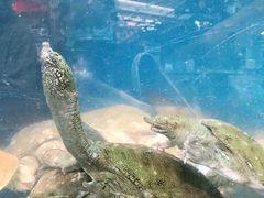 -盒马鲜生(宝地店)