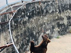 -无锡动物园·太湖欢乐园