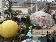 -京北渔家傲