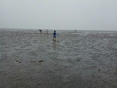 -南汇嘴观海公园