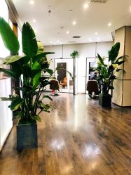 -崇尚GAVIN STYLE臻选