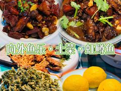 -向外鱼乐·土菜·虹鳟鱼