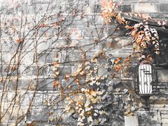 -老门东历史文化街区