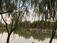 -尚贤河湿地
