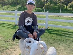 -杭州湾海上花田景区