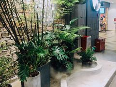 -茶理宜世(东方宝泰店)