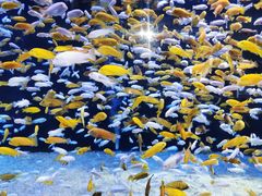 -成都浩海立方海洋公园