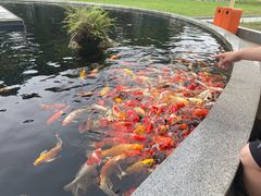 -国色天乡三期陆地乐园