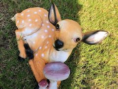 -邢家锅贴老店·非遗·开封菜(金明广场店)