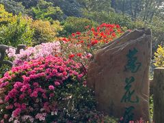 -梧桐山风景名胜区