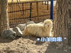 -新疆天山野生动物园