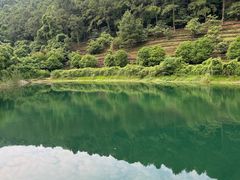 -九龙潭景区