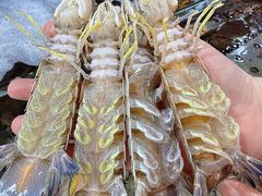-粤盛海鲜平价店(洛溪食街店)