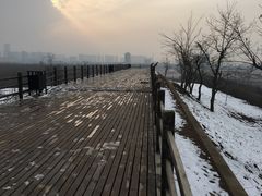 -汉长安城未央宫国家考古遗址公园