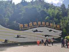 -西双版纳原始森林公园