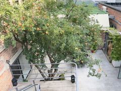 -羊门客在·烤盐池滩羊·川菜