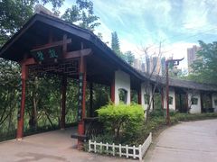 -重庆彩云湖湿地公园