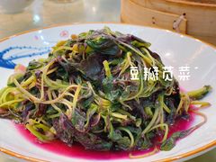 -富春茶社(国庆路店)