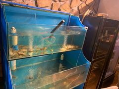 水产区-Thai Basil罗勒叶泰式餐厅(时代天街店)